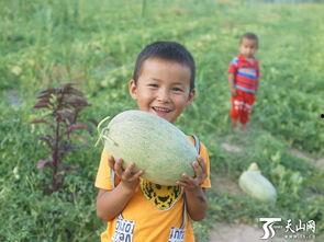 小孩吃瓜群众完整版,小孩吃瓜群众的欢乐时光