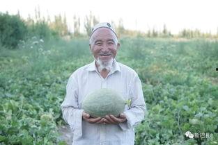 网红州长吃瓜群众,网红州长与吃瓜群众的瓜界风云