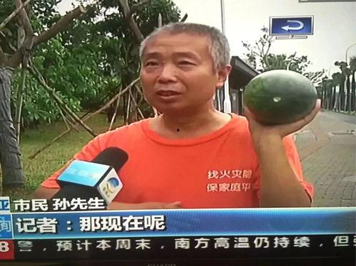 吃瓜群众偷瓜吃瓜事件,吃瓜群众与瓜农的甜蜜纠纷