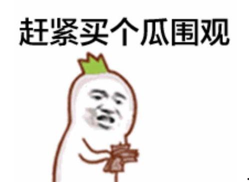 吃瓜群众捏脸图片大全,揭秘吃瓜群众创意无限的脸部艺术