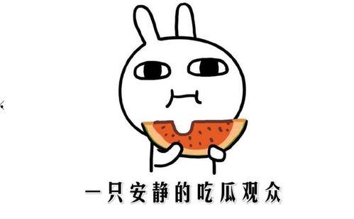 吃瓜群众规定,网络舆论场中的围观智慧