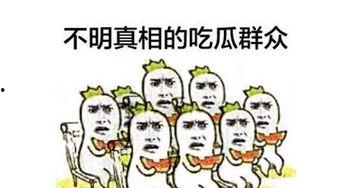 吃瓜群众老付,揭秘娱乐圈幕后故事
