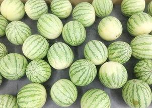 一名安静的吃瓜群众是谁,那位安静的吃瓜群众究竟是谁?