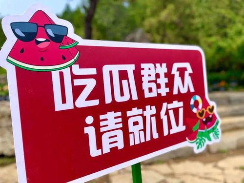 吃瓜不群众,吃瓜群众视角下的社会百态