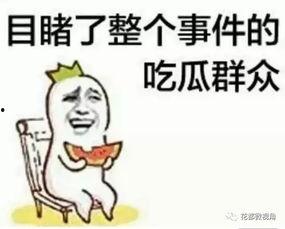 吃瓜群众陈小笨,吃瓜群众的趣味生活与独特见解