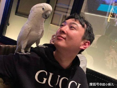 吃瓜群众点个赞,揭秘热门话题背后的故事