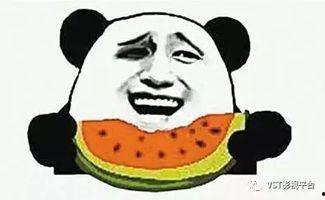 吃瓜群众的瓜太甜了,揭秘“瓜太甜了”背后的甜蜜秘密