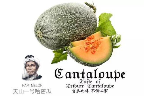 哪个吃瓜群众最厉害,揭秘吃瓜群众中的佼佼者