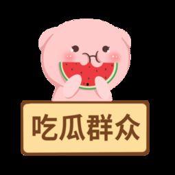 吃瓜群众套装下载安装,吃瓜群众套装下载安装指南