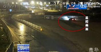 吃瓜群众金蝉视频播放,吃瓜群众热议,播放量飙升的幕后故事