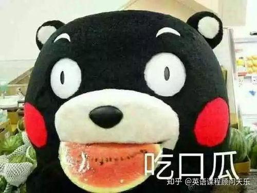 吃瓜群众没吃到怎样表达,揭秘那些错过的好滋味