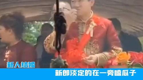 磕瓜子的吃瓜群众叫什么,磕瓜子的“吃瓜群众”众生相