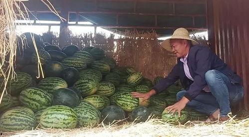 吃瓜群众哭的视频,吃瓜群众哭诉心酸瞬间