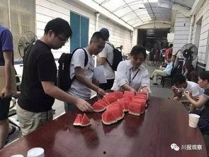 办公司的吃瓜群众,揭秘职场八卦背后的真相