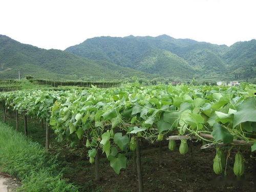 吃瓜群众就位啥意思,揭秘娱乐圈幕后风云