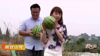 群众吃瓜路带风,揭秘群众热议背后的社会现象