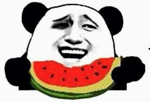 吃瓜群众吃瓜视频播放器