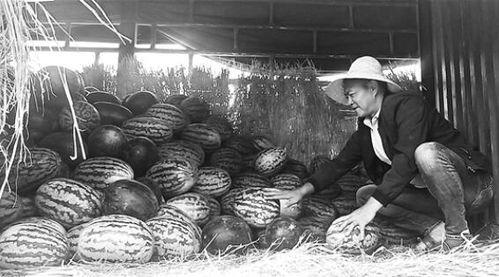 杭州变态吃瓜群众事件,网络暴力与隐私边界的社会反思