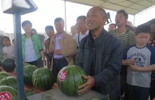 长春热心吃瓜群众事件,网络舆论下的社会现象解析