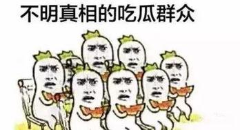 吃瓜群众你在哪儿,吃瓜群众视角下的社会百态