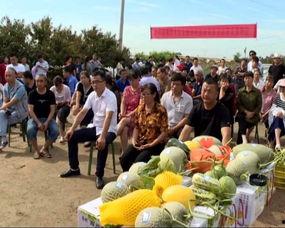 吃瓜群众赶场子视频大全,揭秘热门视频背后的狂欢现场