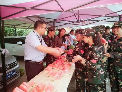 吃瓜群众赶场子视频大全,揭秘热门视频背后的狂欢现场