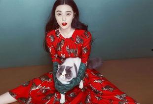 吃瓜群众岱岱范冰冰