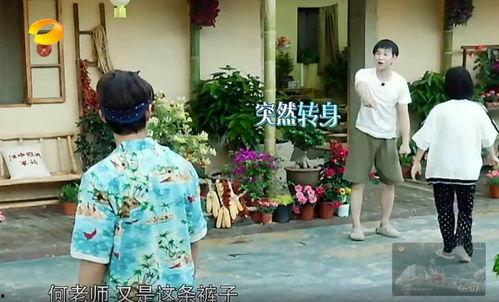 呼市吃瓜群众事件真相最新,揭秘背后真相与反思