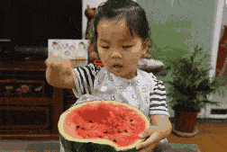 西安的吃瓜群众是谁,街头巷尾的趣味观察者