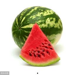 吃瓜群众有哪些小说名字,跟随小说名字探寻人间烟火