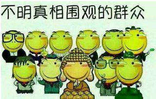 吃瓜群众339,网络红人的崛起之路