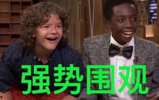 吃瓜群众是小三的老公,吃瓜群众背后的小三老公真相