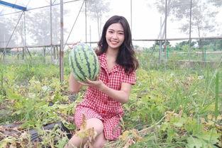 吃瓜群众黄女士,揭秘娱乐圈那些事儿